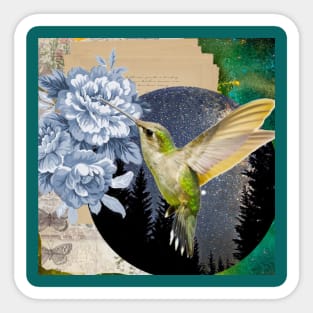 hummingbird Sticker